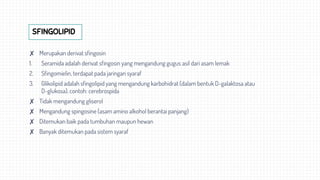 ✘ Merupakan derivat sfingosin
1. Seramida adalah derivat sfingosin yang mengandung gugus asil dari asam lemak
2. Sfingomielin, terdapat pada jaringan syaraf
3. Glikolipid adalah sfingolipid yang mengandung karbohidrat (dalam bentuk D-galaktosa atau
D-glukosa), contoh: cerebrospida
✘ Tidak mengandung gliserol
✘ Mengandung spingosine (asam amino alkohol berantai panjang)
✘ Ditemukan baik pada tumbuhan maupun hewan
✘ Banyak ditemukan pada sistem syaraf
SFINGOLIPID
 