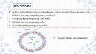 Gambar. Struktur plasma lipoprotein
LIPID KOMPLEKS
✘ Lipid kompleks adalah kombinasi antara lipid dengan molekul lain, selain alkohol dan asam lemak
1. Fosfolipid, lipid yang mengandung residu asam fosfat
2. Glikolipid, lipid yang mengandung karbo-hidrat
3. Sulfolipid, lipid yang mengandung sulfur
4. Lipoprotein, lipid yang mengandung protein
 