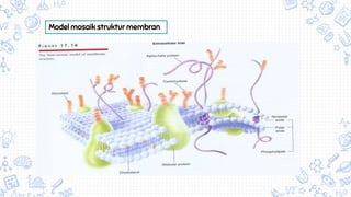 Model mosaik struktur membran
 