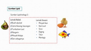 Lemak Nabati
✘Buah alpukat
✘Jenis Kacang-kacangan
✘Tumbuhan Laut
✘Margarin
✘Minyak Kelapa
✘Dan sebagainya
Sumber Lipid
Sumber Lipid terbagi 2 :
Lemak Hewani
 Minyak Ikan
 Ikan Laut
 Susu
 Daging
 Telur
 Mentega
 
