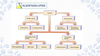 KLASIFIKASI LIPIDA
 