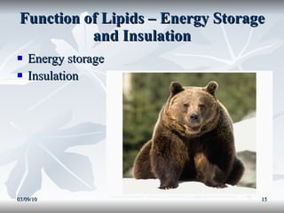 Function of Lipids – Energy Storage and Insulation Energy storage  Insulation 03/09/10 