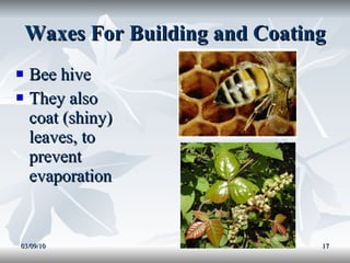 Waxes For Building and Coating Bee hive They also coat (shiny) leaves, to prevent evaporation 03/09/10 
