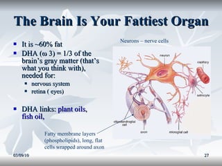 The Brain Is Your Fattiest Organ It is ~60% fat DHA (ω 3) = 1/3 of the brain’s gray matter (that’s what you think with), needed for: nervous system  retina ( eyes) DHA links:  plant oils ,  fish oil,    03/09/10 Fatty membrane layers (phospholipids), long, flat cells wrapped around axon Neurons – nerve cells 