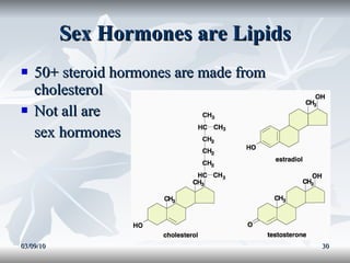 Sex Hormones are Lipids 50+ steroid hormones are made from cholesterol Not all are sex hormones 03/09/10 