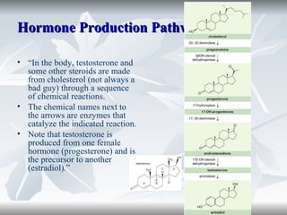 Hormone Production Pathways  “ In the body, testosterone and some other steroids are made from cholesterol (not always a bad guy) through a sequence of chemical reactions.  The chemical names next to the arrows are enzymes that catalyze the indicated reaction.  Note that testosterone is produced from one female hormone (progesterone) and is the precursor to another (estradiol).” 
