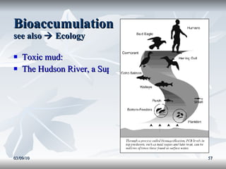 Bioaccumulation see also    Ecology Toxic mud: The Hudson River, a Superfund Site 03/09/10 