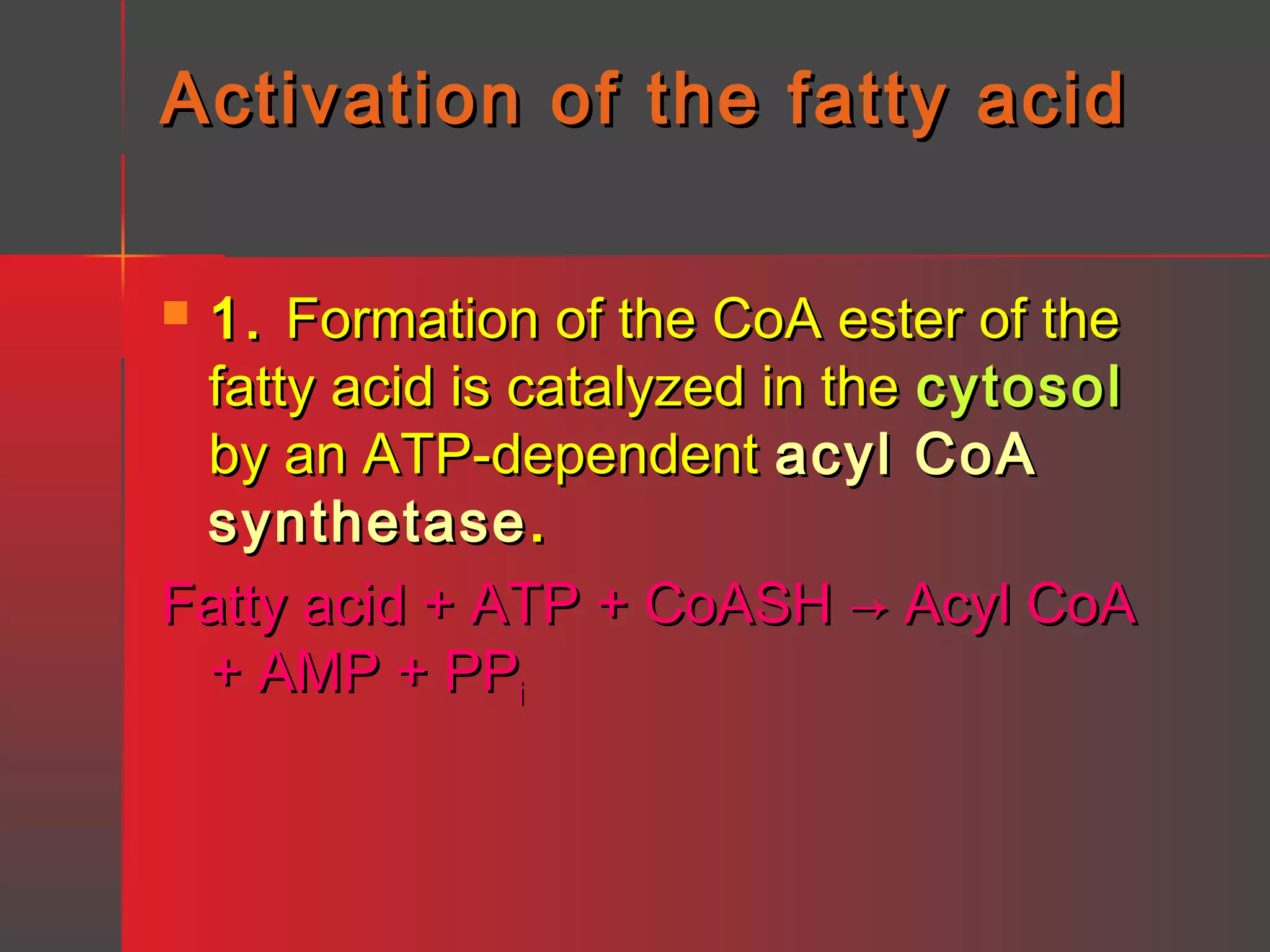 Activation of the fatty acid
1. Formation of the CoA ester of the
fatty acid is catalyzed in the cytosol
by an ATP-dependent acyl CoA
synthetase .
Fatty acid + ATP + CoASH → Acyl CoA
+ AMP + PPi


 