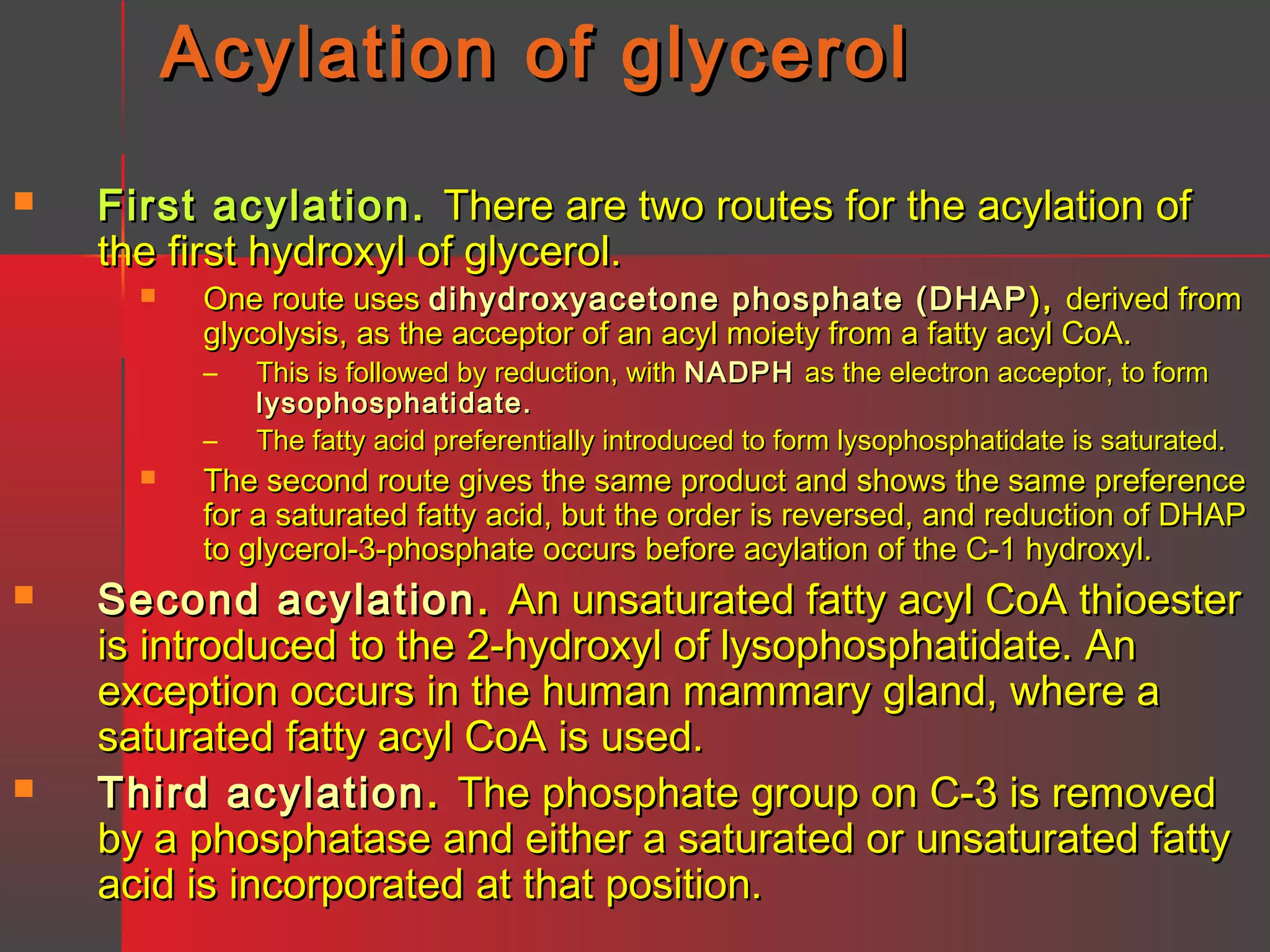 Acylation of glycerol


First acylation. There are two routes for the acylation of
the first hydroxyl of glycerol.


One route uses dihydroxyacetone phosphate (DHAP ), derived from
glycolysis, as the acceptor of an acyl moiety from a fatty acyl CoA.
–
–







This is followed by reduction, with NADPH as the electron acceptor, to form
lysophosphatidate.
The fatty acid preferentially introduced to form lysophosphatidate is saturated.

The second route gives the same product and shows the same preference
for a saturated fatty acid, but the order is reversed, and reduction of DHAP
to glycerol-3-phosphate occurs before acylation of the C-1 hydroxyl.

Second acylation . An unsaturated fatty acyl CoA thioester
is introduced to the 2-hydroxyl of lysophosphatidate. An
exception occurs in the human mammary gland, where a
saturated fatty acyl CoA is used.
Third acylation . The phosphate group on C-3 is removed
by a phosphatase and either a saturated or unsaturated fatty
acid is incorporated at that position.

 