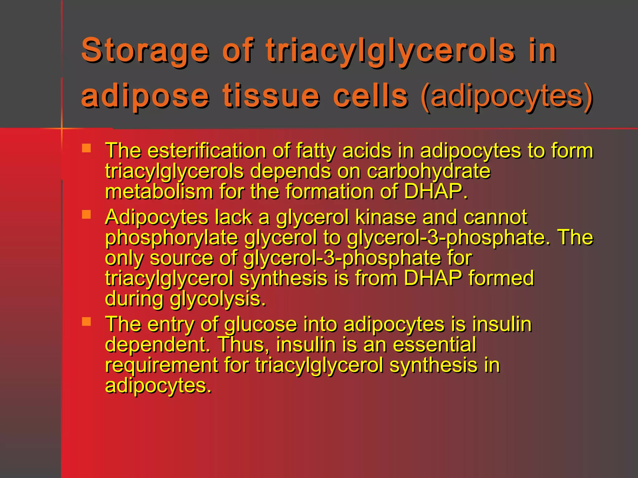 Storage of triacylglycerols in
adipose tissue cells (adipocytes)






The esterification of fatty acids in adipocytes to form
triacylglycerols depends on carbohydrate
metabolism for the formation of DHAP.
Adipocytes lack a glycerol kinase and cannot
phosphorylate glycerol to glycerol-3-phosphate. The
only source of glycerol-3-phosphate for
triacylglycerol synthesis is from DHAP formed
during glycolysis.
The entry of glucose into adipocytes is insulin
dependent. Thus, insulin is an essential
requirement for triacylglycerol synthesis in
adipocytes.

 