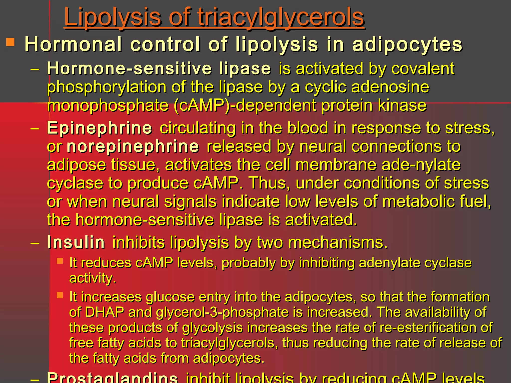Lipolysis of triacylglycerols



Hormonal control of lipolysis in adipocytes

– Hormone-sensitive lipase is activated by covalent
phosphorylation of the lipase by a cyclic adenosine
monophosphate (cAMP)-dependent protein kinase
– Epinephrine circulating in the blood in response to stress,
or norepinephrine released by neural connections to
adipose tissue, activates the cell membrane ade-nylate
cyclase to produce cAMP. Thus, under conditions of stress
or when neural signals indicate low levels of metabolic fuel,
the hormone-sensitive lipase is activated.
– Insulin inhibits lipolysis by two mechanisms.



It reduces cAMP levels, probably by inhibiting adenylate cyclase
activity.
It increases glucose entry into the adipocytes, so that the formation
of DHAP and glycerol-3-phosphate is increased. The availability of
these products of glycolysis increases the rate of re-esterification of
free fatty acids to triacylglycerols, thus reducing the rate of release of
the fatty acids from adipocytes.

 