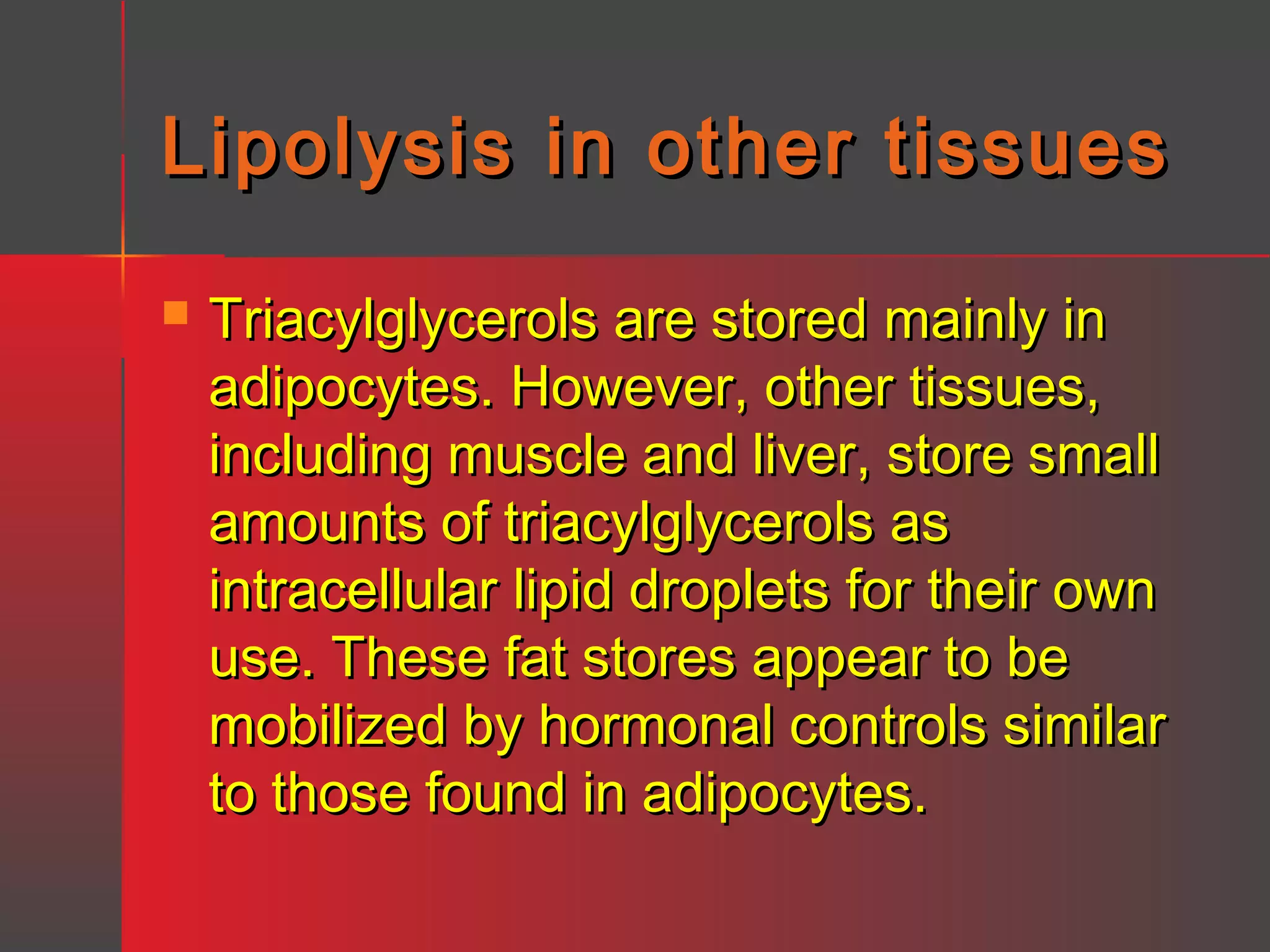 Lipolysis in other tissues


Triacylglycerols are stored mainly in
adipocytes. However, other tissues,
including muscle and liver, store small
amounts of triacylglycerols as
intracellular lipid droplets for their own
use. These fat stores appear to be
mobilized by hormonal controls similar
to those found in adipocytes.

 