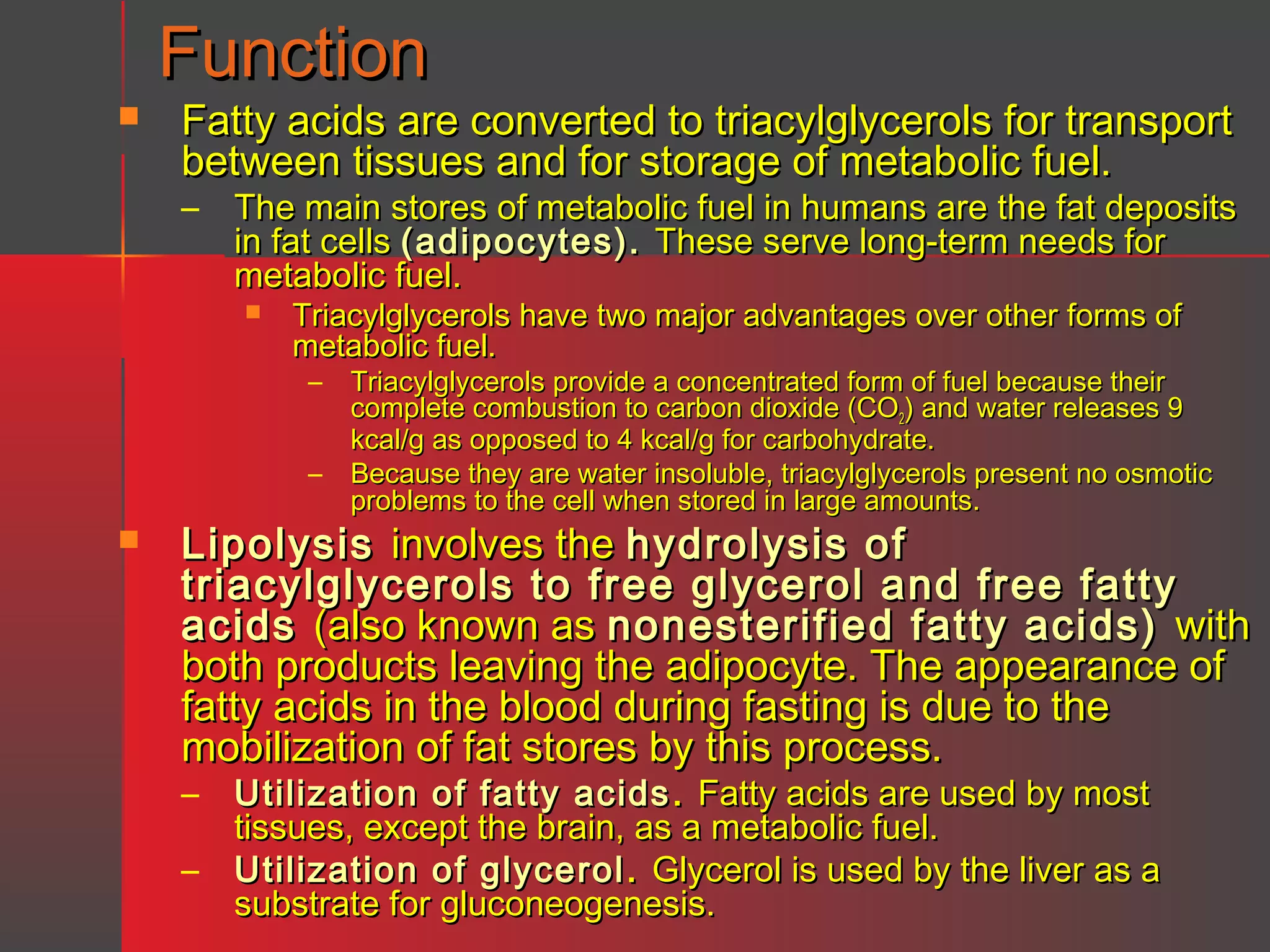 Function


Fatty acids are converted to triacylglycerols for transport
between tissues and for storage of metabolic fuel.
–

The main stores of metabolic fuel in humans are the fat deposits
in fat cells (adipocytes). These serve long-term needs for
metabolic fuel.


Triacylglycerols have two major advantages over other forms of
metabolic fuel.
–
–



Triacylglycerols provide a concentrated form of fuel because their
complete combustion to carbon dioxide (CO2) and water releases 9
kcal/g as opposed to 4 kcal/g for carbohydrate.
Because they are water insoluble, triacylglycerols present no osmotic
problems to the cell when stored in large amounts.

Lipolysis involves the hydrolysis of
triacylglycerols to free glycerol and free fatty
acids (also known as nonesterified fatty acids) with
both products leaving the adipocyte. The appearance of
fatty acids in the blood during fasting is due to the
mobilization of fat stores by this process.
–

Utilization of fatty acids . Fatty acids are used by most
tissues, except the brain, as a metabolic fuel.
– Utilization of glycerol . Glycerol is used by the liver as a
substrate for gluconeogenesis.

 
