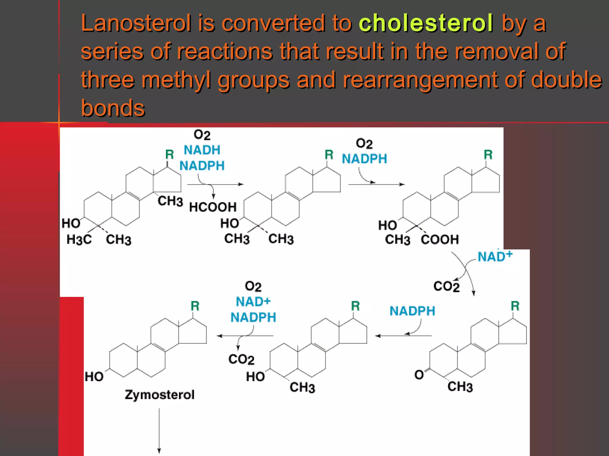 Lanosterol is converted to cholesterol by a
series of reactions that result in the removal of
three methyl groups and rearrangement of double
bonds

 