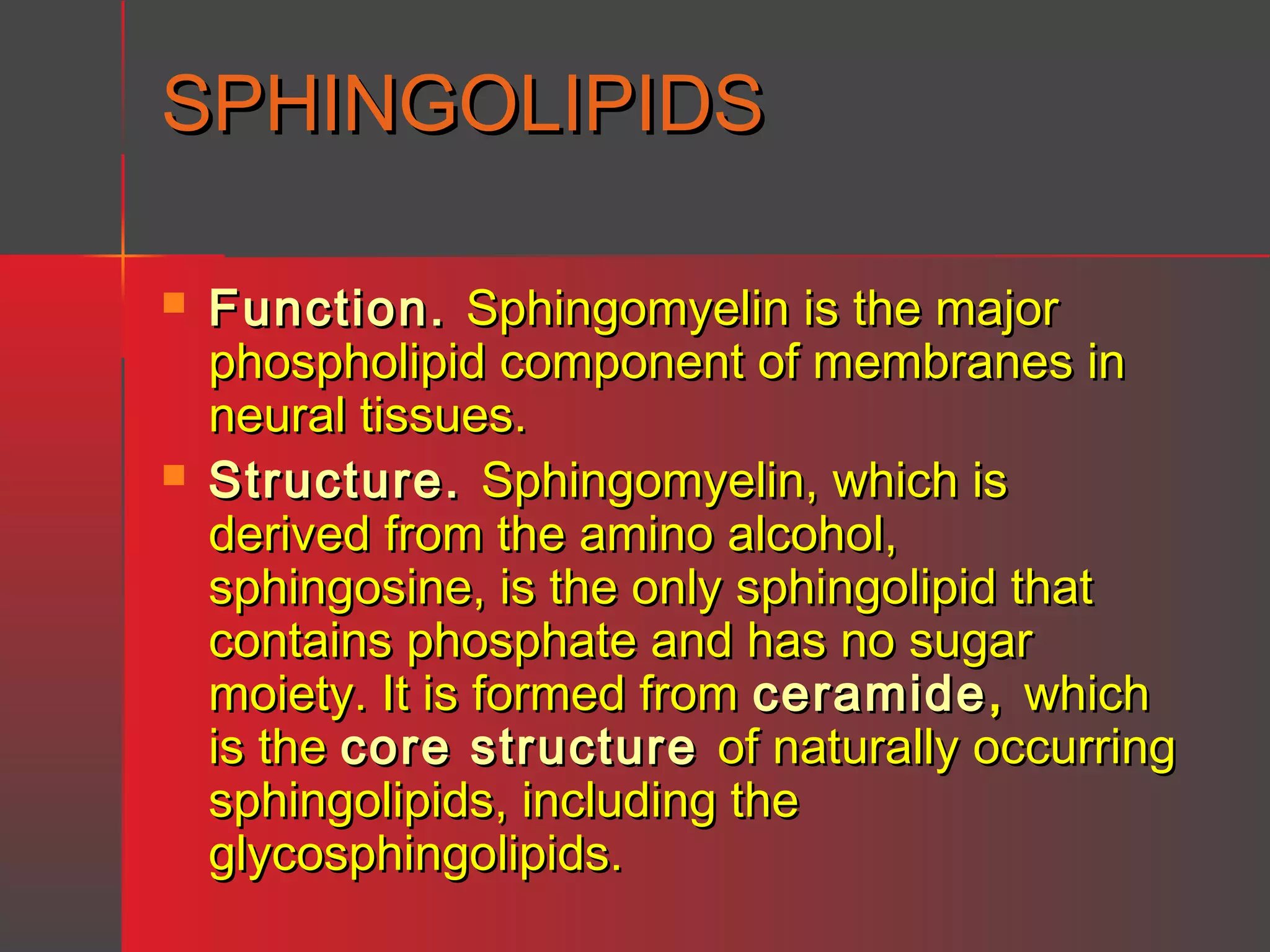 SPHINGOLIPIDS




Function. Sphingomyelin is the major
phospholipid component of membranes in
neural tissues.
Structure. Sphingomyelin, which is
derived from the amino alcohol,
sphingosine, is the only sphingolipid that
contains phosphate and has no sugar
moiety. It is formed from ceramide , which
is the core structure of naturally occurring
sphingolipids, including the
glycosphingolipids.

 