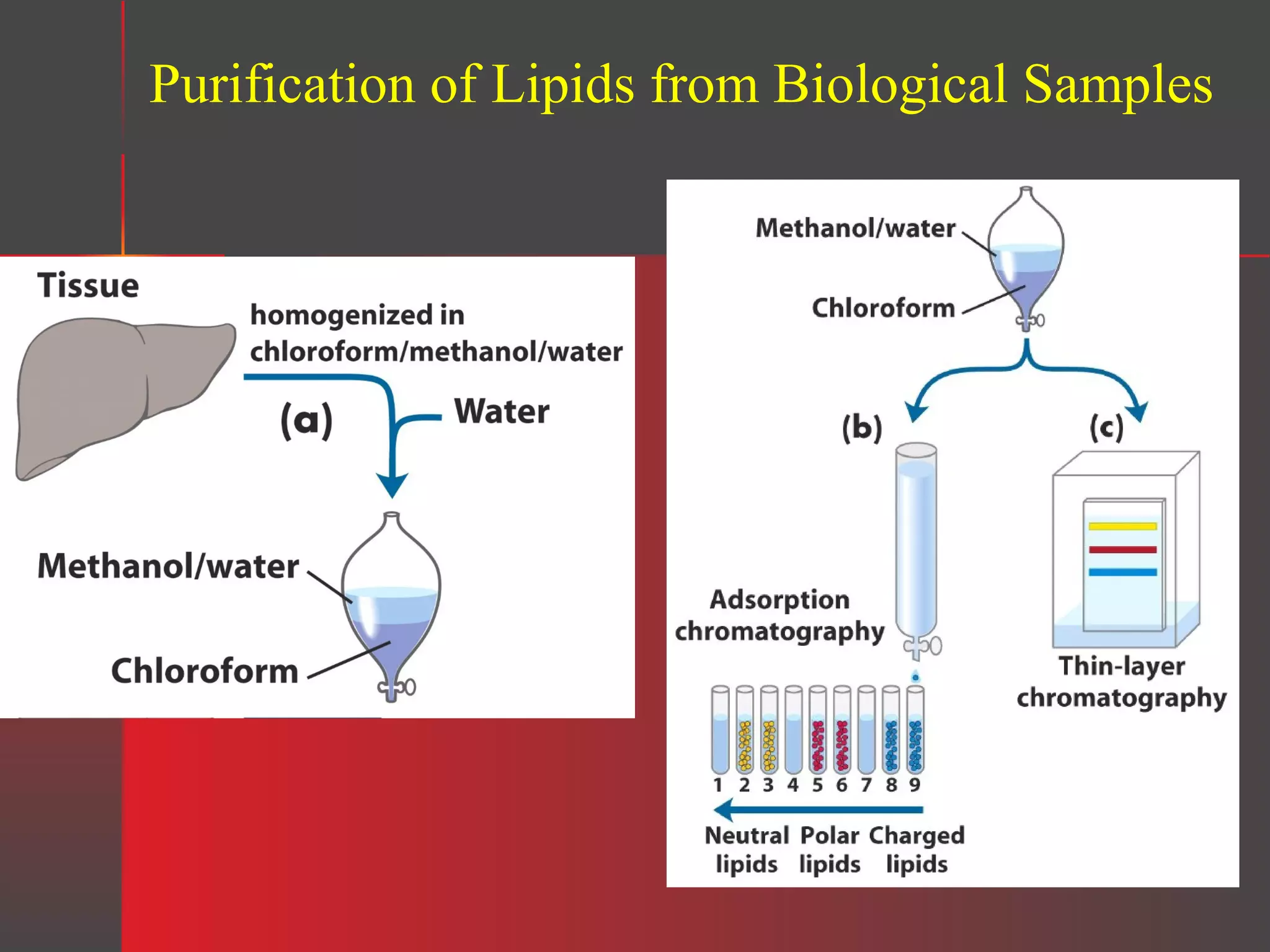 Purification of Lipids from Biological Samples

 