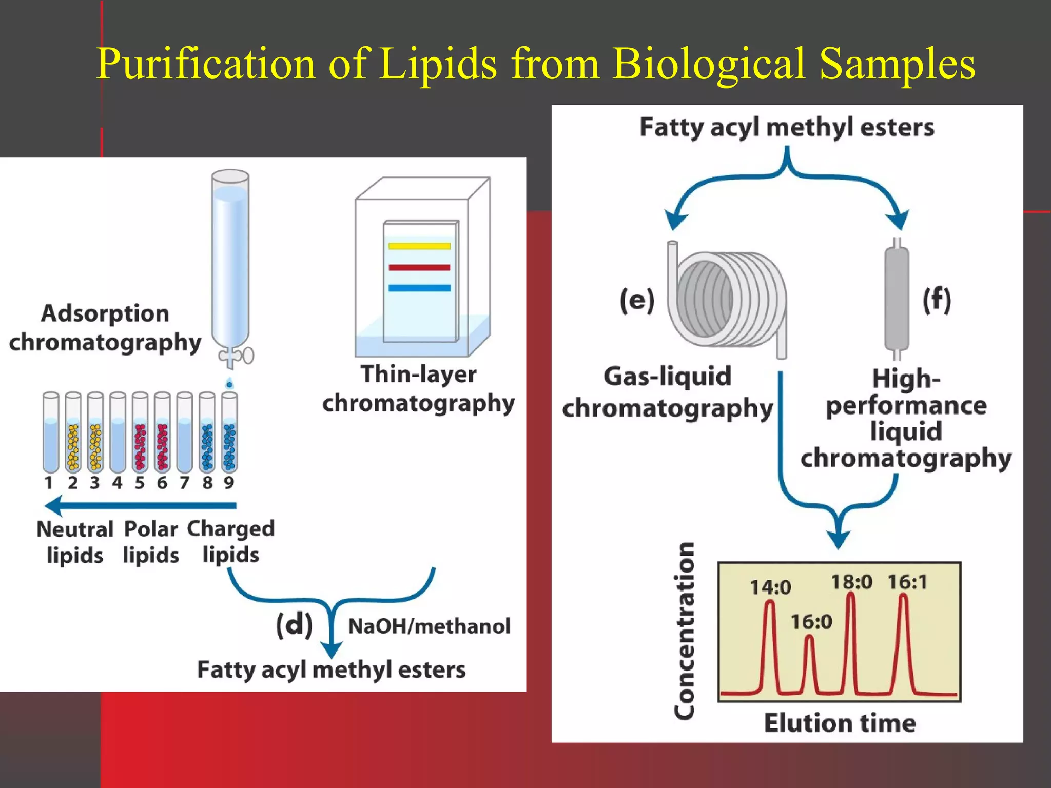 Purification of Lipids from Biological Samples

 