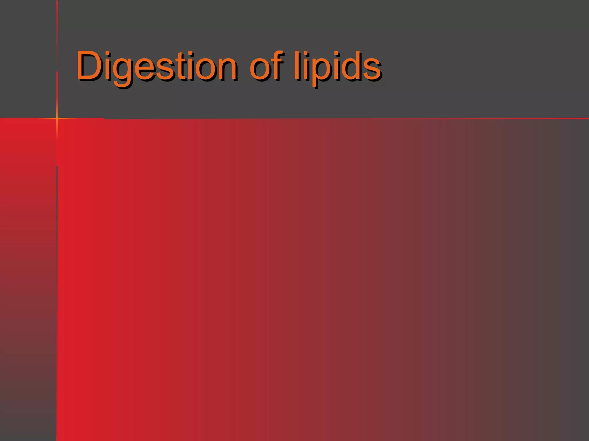 Digestion of lipids

 