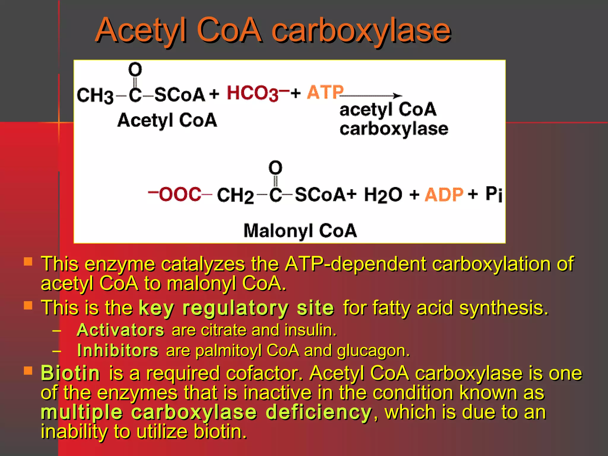 Acetyl CoA carboxylase




This enzyme catalyzes the ATP-dependent carboxylation of
acetyl CoA to malonyl CoA.
This is the key regulatory site for fatty acid synthesis.
– Activators are citrate and insulin.
– Inhibitors are palmitoyl CoA and glucagon.



Biotin is a required cofactor. Acetyl CoA carboxylase is one
of the enzymes that is inactive in the condition known as
multiple carboxylase deficiency , which is due to an
inability to utilize biotin.

 