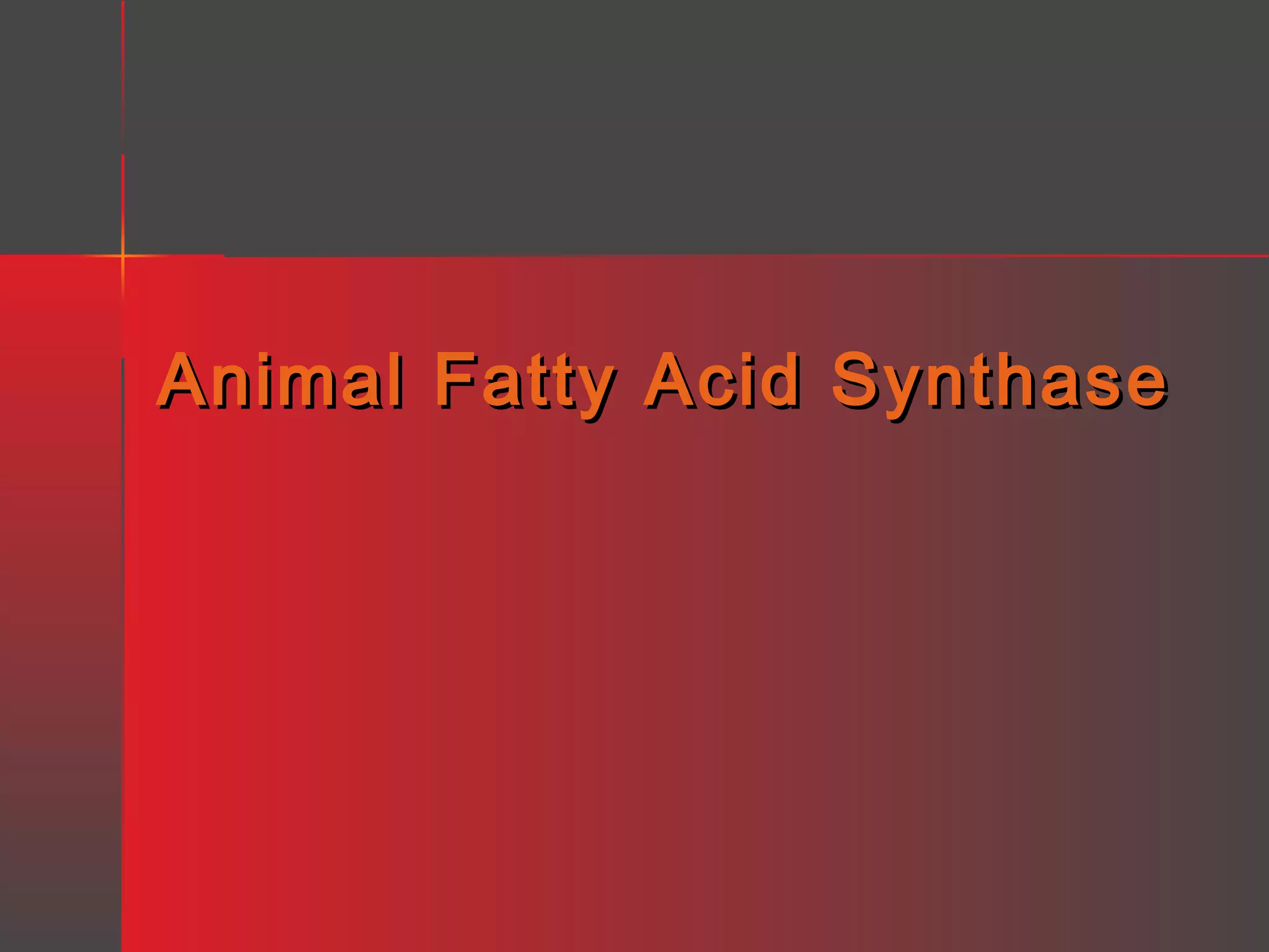 Animal Fatty Acid Synthase

 