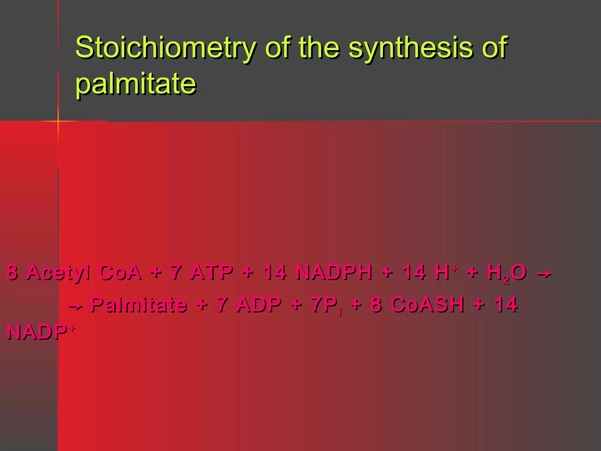Stoichiometry of the synthesis of
palmitate

8 Acetyl CoA + 7 ATP + 14 NADPH + 14 H + + H 2 O →

→ Palmitate + 7 ADP + 7P i + 8 CoASH + 14
NADP +

 