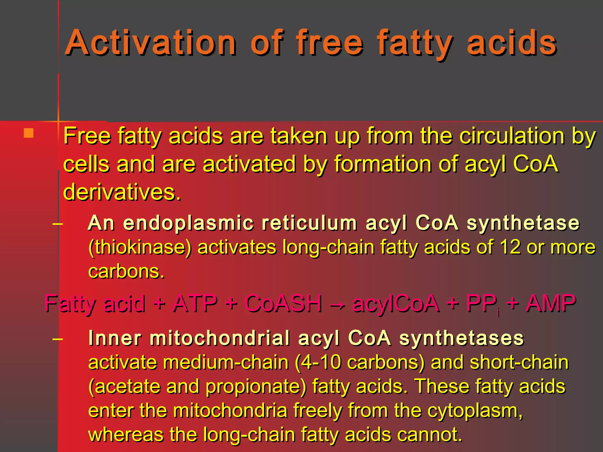 Activation of free fatty acids
Free fatty acids are taken up from the circulation by
cells and are activated by formation of acyl CoA
derivatives.



–

An endoplasmic reticulum acyl CoA synthetase
(thiokinase) activates long-chain fatty acids of 12 or more
carbons.

Fatty acid + ATP + CoASH → acylCoA + PPi + AMP
–

Inner mitochondrial acyl CoA synthetases
activate medium-chain (4-10 carbons) and short-chain
(acetate and propionate) fatty acids. These fatty acids
enter the mitochondria freely from the cytoplasm,
whereas the long-chain fatty acids cannot.

 