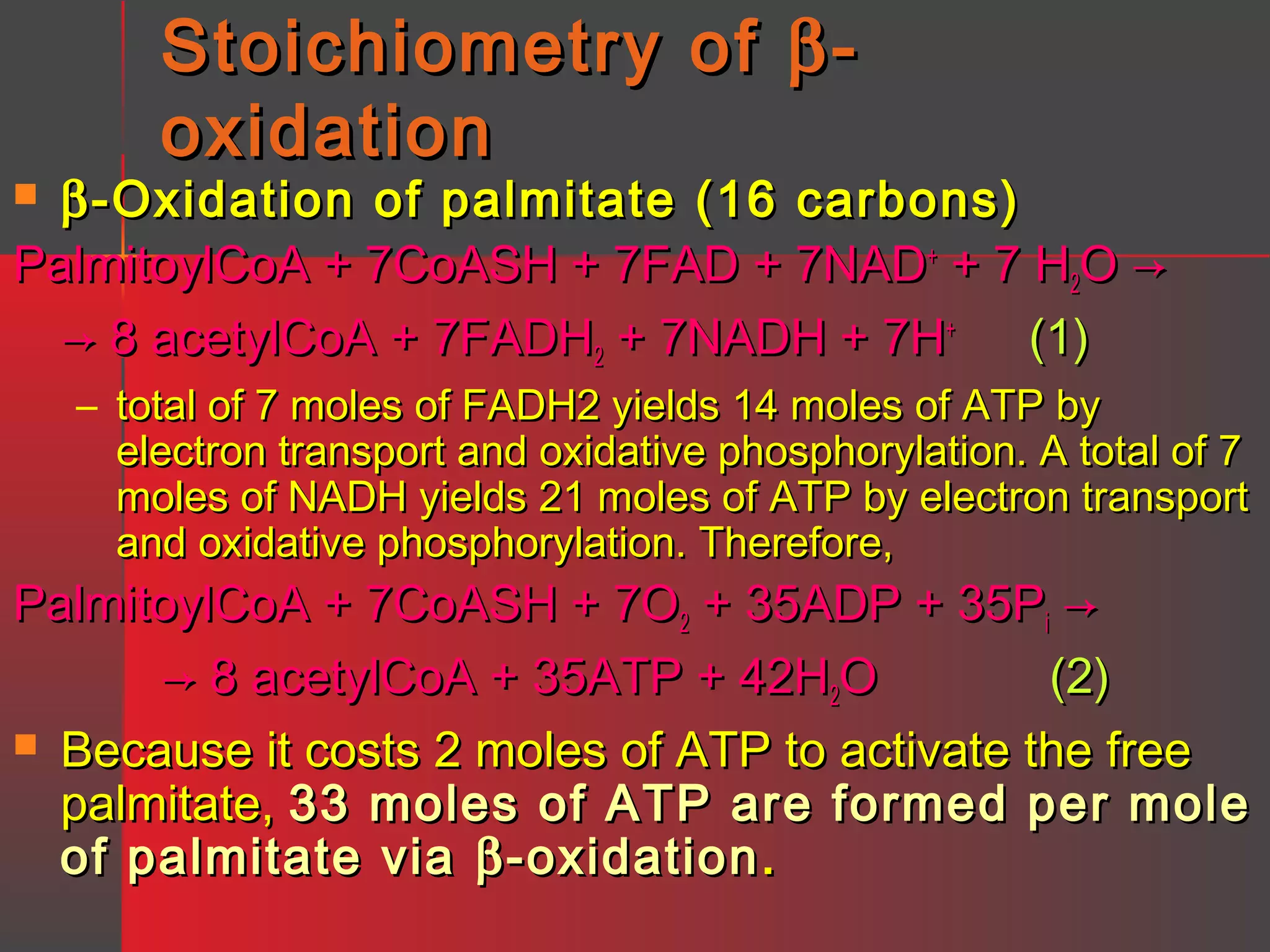 Stoichiometry of β oxidation

β -Oxidation of palmitate (16 carbons)
PalmitoylCoA + 7CoASH + 7FAD + 7NAD+ + 7 H2O →
→ 8 acetylCoA + 7FADH2 + 7NADH + 7H+ (1)


– total of 7 moles of FADH2 yields 14 moles of ATP by
electron transport and oxidative phosphorylation. A total of 7
moles of NADH yields 21 moles of ATP by electron transport
and oxidative phosphorylation. Therefore,

PalmitoylCoA + 7CoASH + 7O2 + 35ADP + 35Pi →
→ 8 acetylCoA + 35ATP + 42H2O
(2)
 Because it costs 2 moles of ATP to activate the free
palmitate, 33 moles of ATP are formed per mole
of palmitate via β -oxidation .

 