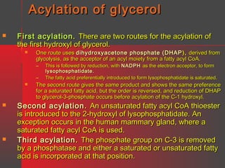 Acylation of glycerol


First acylation. There are two routes for the acylation of
the first hydroxyl of glycerol.


One route uses dihydroxyacetone phosphate (DHAP ), derived from
glycolysis, as the acceptor of an acyl moiety from a fatty acyl CoA.
–
–







This is followed by reduction, with NADPH as the electron acceptor, to form
lysophosphatidate.
The fatty acid preferentially introduced to form lysophosphatidate is saturated.

The second route gives the same product and shows the same preference
for a saturated fatty acid, but the order is reversed, and reduction of DHAP
to glycerol-3-phosphate occurs before acylation of the C-1 hydroxyl.

Second acylation . An unsaturated fatty acyl CoA thioester
is introduced to the 2-hydroxyl of lysophosphatidate. An
exception occurs in the human mammary gland, where a
saturated fatty acyl CoA is used.
Third acylation . The phosphate group on C-3 is removed
by a phosphatase and either a saturated or unsaturated fatty
acid is incorporated at that position.

 