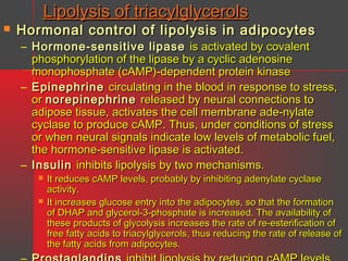 Lipolysis of triacylglycerols



Hormonal control of lipolysis in adipocytes

– Hormone-sensitive lipase is activated by covalent
phosphorylation of the lipase by a cyclic adenosine
monophosphate (cAMP)-dependent protein kinase
– Epinephrine circulating in the blood in response to stress,
or norepinephrine released by neural connections to
adipose tissue, activates the cell membrane ade-nylate
cyclase to produce cAMP. Thus, under conditions of stress
or when neural signals indicate low levels of metabolic fuel,
the hormone-sensitive lipase is activated.
– Insulin inhibits lipolysis by two mechanisms.



It reduces cAMP levels, probably by inhibiting adenylate cyclase
activity.
It increases glucose entry into the adipocytes, so that the formation
of DHAP and glycerol-3-phosphate is increased. The availability of
these products of glycolysis increases the rate of re-esterification of
free fatty acids to triacylglycerols, thus reducing the rate of release of
the fatty acids from adipocytes.

 