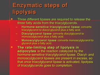 Enzymatic steps of
lipolysis


–
–
–


Three different lipases are required to release the
three fatty acids from the triacylglycerols.

Hormone-sensitive triacylglycerol lipase converts
triacylglycerol to diacyl-glycerol plus a fatty acid.
Diacylglycerol lipase converts diacylglycerol to
monoacylglycerol plus a fatty acid.
Monoacylglycerol lipase converts monoacylglycerol to
glycerol plus a fatty acid.

The rate-limiting step of lipolysis in
adipocytes is the reaction catalyzed by the
hormone-sensitive triacylglycerol lipase. Diacyl- and
monoacylglycerol lipases are present in excess, so
that once triacylglycerol lipase is activated, lipolysis
of triacylglycerols goes to completion.

 