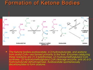 Formation of Ketone Bodies



The Ketone bodies-acetoacetate, d-3-hydroxybutyrate, and acetone
from acetyl CoA—are formed primarily in the liver. Enzymes catalyzing
these reactions are (1) 3-ketothiolase, (2) hydroxymethylglutaryl CoA
synthase, (3) hydroxymethylglutaryl CoA cleavage enzyme, and (4) d-3hydroxybutyrate dehydrogenase. Acetoacetate spontaneously
decarboxylates to form acetone.

 