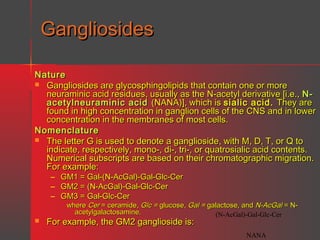 Gangliosides
Nature
 Gangliosides are glycosphingolipids that contain one or more
neuraminic acid residues, usually as the N-acetyl derivative [i.e., Nacetylneuraminic acid (NANA)], which is sialic acid. They are
found in high concentration in ganglion cells of the CNS and in lower
concentration in the membranes of most cells.
Nomenclature
 The letter G is used to denote a ganglioside, with M, D, T, or Q to
indicate, respectively, mono-, di-, tri-, or quatrosialic acid contents.
Numerical subscripts are based on their chromatographic migration.
For example:
–
–
–



GM1 = Gal-(N-AcGal)-Gal-Glc-Cer
GM2 = (N-AcGal)-Gal-Glc-Cer
GM3 = Gal-Glc-Cer

where Cer = ceramide, Glc = glucose, Gal = galactose, and N-AcGal = Nacetylgalactosamine.
(N-AcGal)-Gal-Glc-Cer

For example, the GM2 ganglioside is:

NANA

 