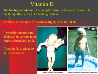 Vitamin D
The binding of vitamin D to receptor turns on the gene responsible
for the synthesis of a Ca2+ binding protein
Absence in diet, or insufficient sunlight, leads to rickets
Typically vitamins are
included in various foods
such as bread and milk.
Vitamin D2 is added to
milk and butter

 