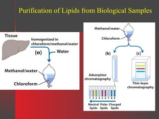 Purification of Lipids from Biological Samples

 