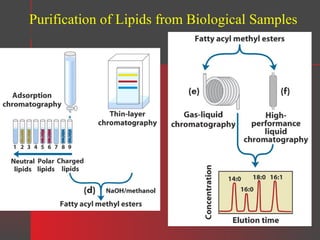 Purification of Lipids from Biological Samples

 