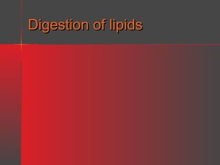 Digestion of lipids

 