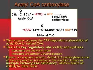 Acetyl CoA carboxylase




This enzyme catalyzes the ATP-dependent carboxylation of
acetyl CoA to malonyl CoA.
This is the key regulatory site for fatty acid synthesis.
– Activators are citrate and insulin.
– Inhibitors are palmitoyl CoA and glucagon.



Biotin is a required cofactor. Acetyl CoA carboxylase is one
of the enzymes that is inactive in the condition known as
multiple carboxylase deficiency , which is due to an
inability to utilize biotin.

 