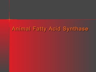 Animal Fatty Acid Synthase

 