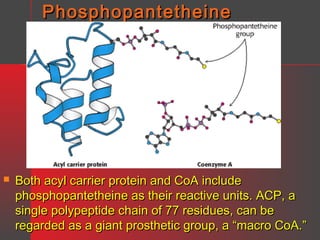 Phosphopantetheine



Both acyl carrier protein and CoA include
phosphopantetheine as their reactive units. ACP, a
single polypeptide chain of 77 residues, can be
regarded as a giant prosthetic group, a “macro CoA.”

 