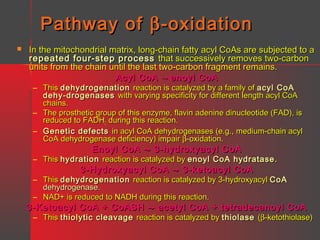 Pathway of β -oxidation


In the mitochondrial matrix, long-chain fatty acyl CoAs are subjected to a
repeated four-step process that successively removes two-carbon
units from the chain until the last two-carbon fragment remains.
Acyl CoA → enoyl CoA
– This dehydrogenation reaction is catalyzed by a family of acyl CoA
dehy-drogenases with varying specificity for different length acyl CoA
chains.
– The prosthetic group of this enzyme, flavin adenine dinucleotide (FAD), is
reduced to FADH2 during this reaction.
– Genetic defects in acyl CoA dehydrogenases (e.g., medium-chain acyl
CoA dehydrogenase deficiency) impair β-oxidation.

Enoyl CoA → 3-hydroxyacyl CoA

– This hydration reaction is catalyzed by enoyl CoA hydratase .

3-Hydroxyacyl CoA → 3-ketoacyl CoA

– This dehydrogenation reaction is catalyzed by 3-hydroxyacyl CoA
dehydrogenase.
– NAD+ is reduced to NADH during this reaction.

3-Ketoacyl CoA + CoASH → acetyl CoA + tetradecanoyl CoA

– This thiolytic cleavage reaction is catalyzed by thiolase (β-ketothiolase)

 