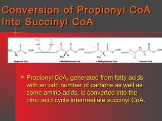Conversion of Propionyl CoA
Into Succinyl CoA



Propionyl CoA, generated from fatty acids
with an odd number of carbons as well as
some amino acids, is converted into the
citric acid cycle intermediate succinyl CoA.

 