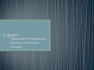 Triglyceride & Phospholipids
-Structure & Formation
-Function
 