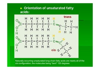  Orientation of unsaturated fattyOrientation of unsaturated fatty
acids:acids:
Naturally occurring unsaturated long-chain fatty acids are nearly all of the
cis configuration, the molecules being “bent” 120 degrees
 