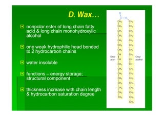 D. Wax…D. Wax…
 nonpolar ester of long chain fattynonpolar ester of long chain fatty
acid & long chain monohydroxylicacid & long chain monohydroxylic
alcoholalcohol
 one weak hydrophilic head bondedone weak hydrophilic head bonded
to 2 hydrocarbon chainsto 2 hydrocarbon chains
 water insolublewater insoluble
 functionsfunctions –– energy storage;energy storage;
structural componentstructural component
 thickness increase with chain lengththickness increase with chain length
& hydrocarbon saturation degree& hydrocarbon saturation degree
 