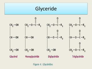 Glyceride Example Lipids | PPTX