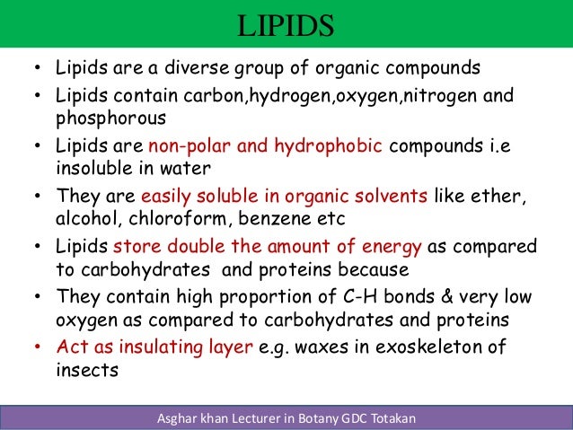 Chemical Properties Of Lipid Khan Chemical Properties Of Lipid Khan