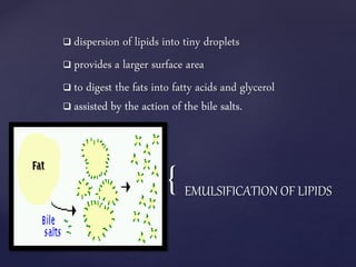 Biochemical properties of Lipids | PPTX
