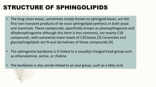 Sphingoipids Lipids | PPTX