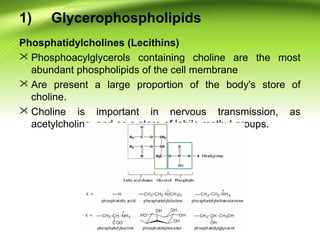 1) Glycerophospholipids
Phosphatidylcholines (Lecithins)
 Phosphoacylglycerols containing choline are the most
abundant phospholipids of the cell membrane
 Are present a large proportion of the body's store of
choline.
 Choline is important in nervous transmission, as
acetylcholine, and as a store of labile methyl groups.
 