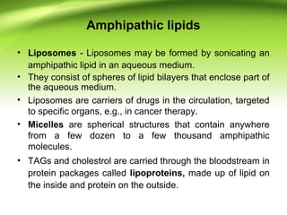Amphipathic lipids
• Liposomes - Liposomes may be formed by sonicating an
amphipathic lipid in an aqueous medium.
• They consist of spheres of lipid bilayers that enclose part of
the aqueous medium.
• Liposomes are carriers of drugs in the circulation, targeted
to specific organs, e.g., in cancer therapy.
• Micelles are spherical structures that contain anywhere
from a few dozen to a few thousand amphipathic
molecules.
• TAGs and cholestrol are carried through the bloodstream in
protein packages called lipoproteins, made up of lipid on
the inside and protein on the outside.
 